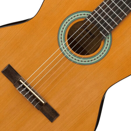 Guitarra Ibanez GA3 AM